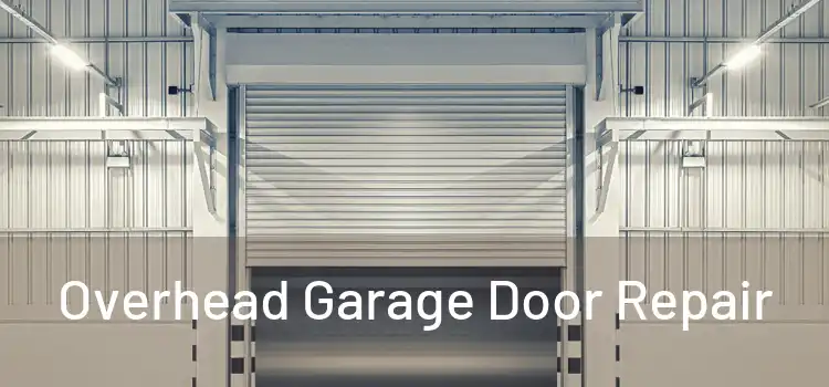  Overhead Garage Door Repair 